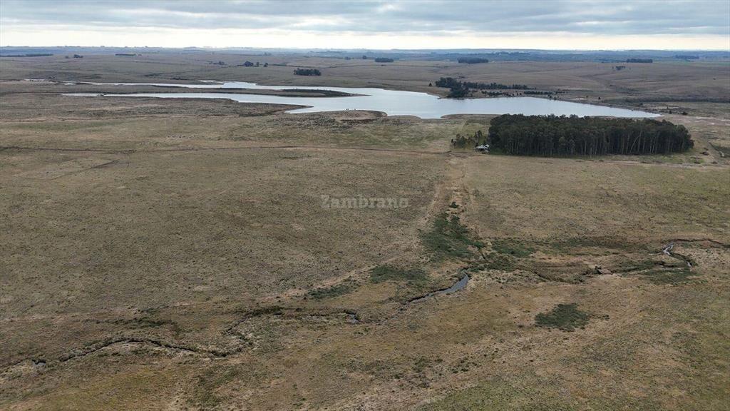 Estancia Ganadera Agrícola 1700 ha en Treinta y Tres