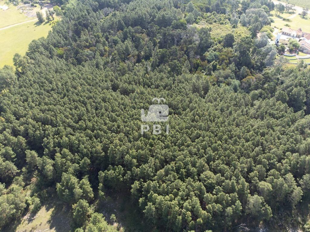 Chacra en venta en Laguna del Sauce, Punta - Ref