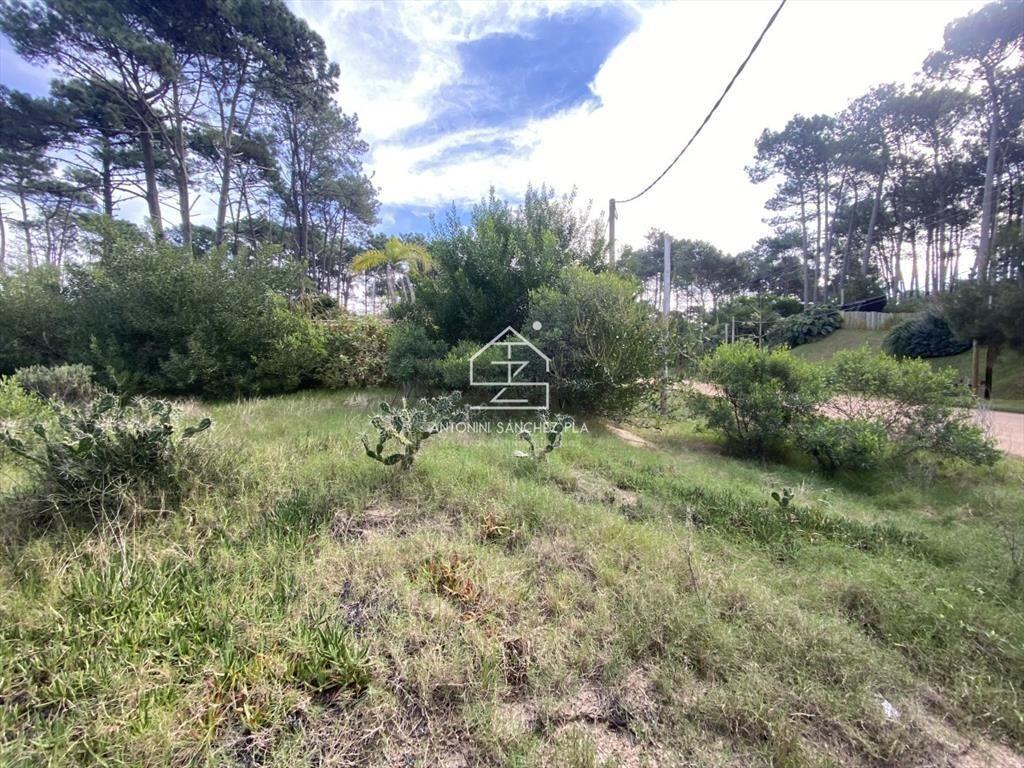 Terreno Venta Chihuahua