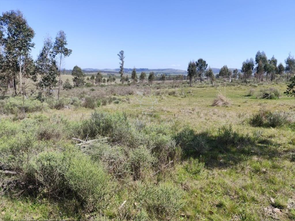 Campo 5 has en Partido Norte a 38 km de Punta del