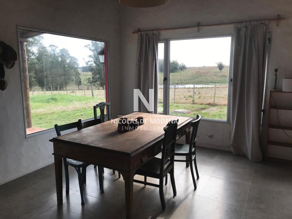Campo de 63 hectáreas en Venta - Producción y