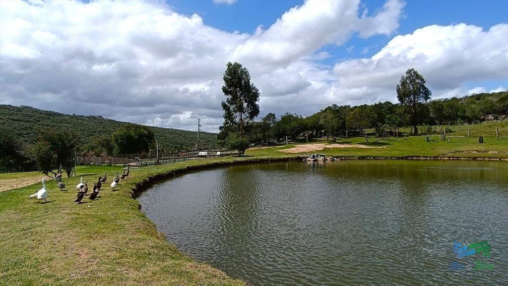 Campo en venta, a los pies del Cerro Catedral,