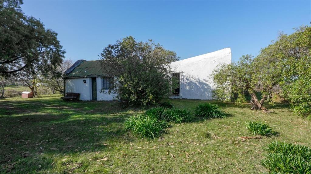 Chacra de 23 Ha en venta sobre Laguna del Sauce Punta del E