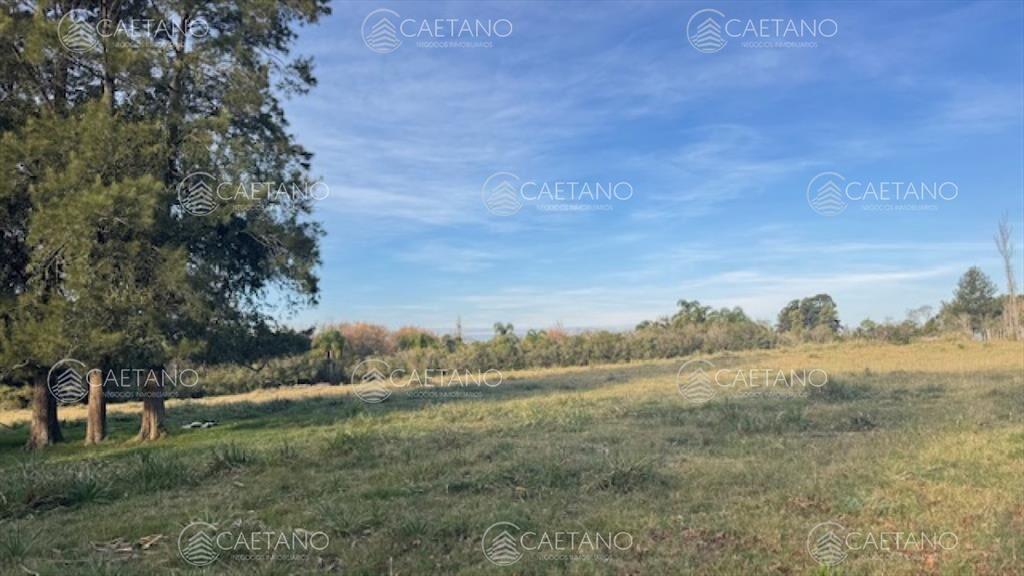 Campo de 4 has 1602 m2 muy cerca de ruta 12 y la