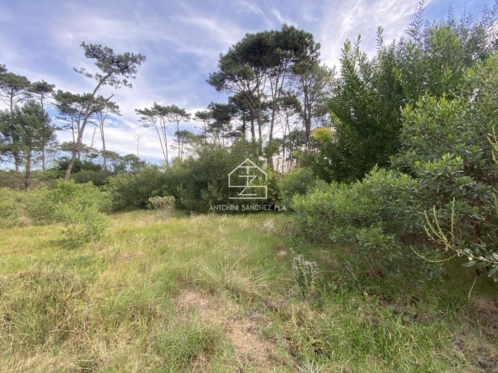 Terreno Venta Chihuahua