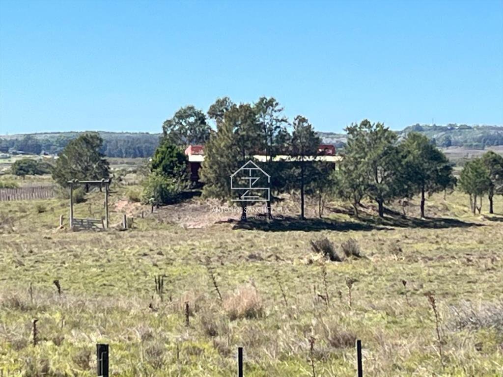 VENTA CHACRA 40 HECTAREAS RUTA 39