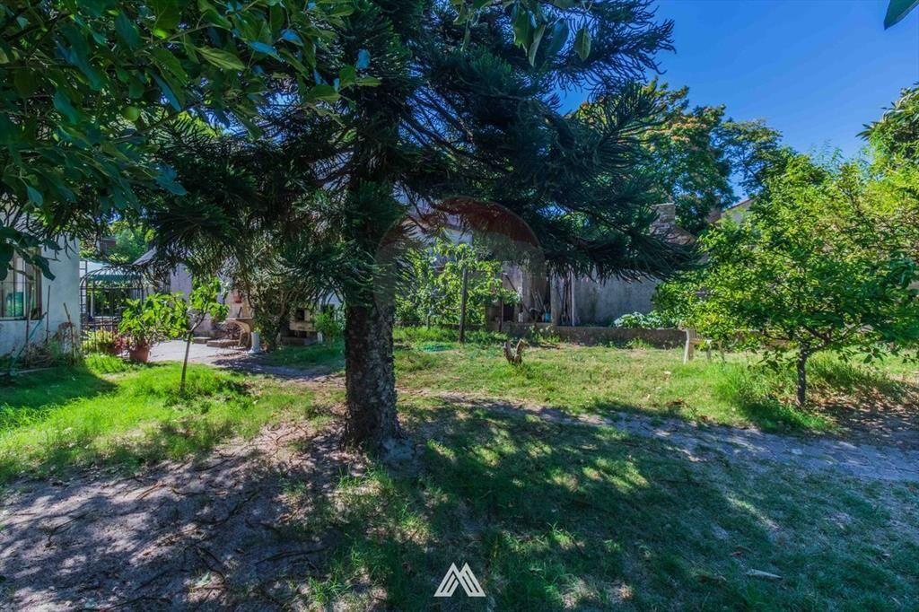 VENTA de terreno en Punta Gorda 750m2