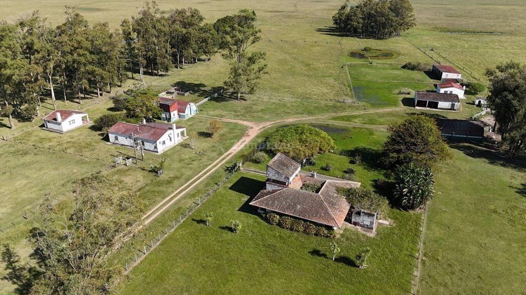 Estancia Arrocera I Rocha I Ha: 1650 IC:56.