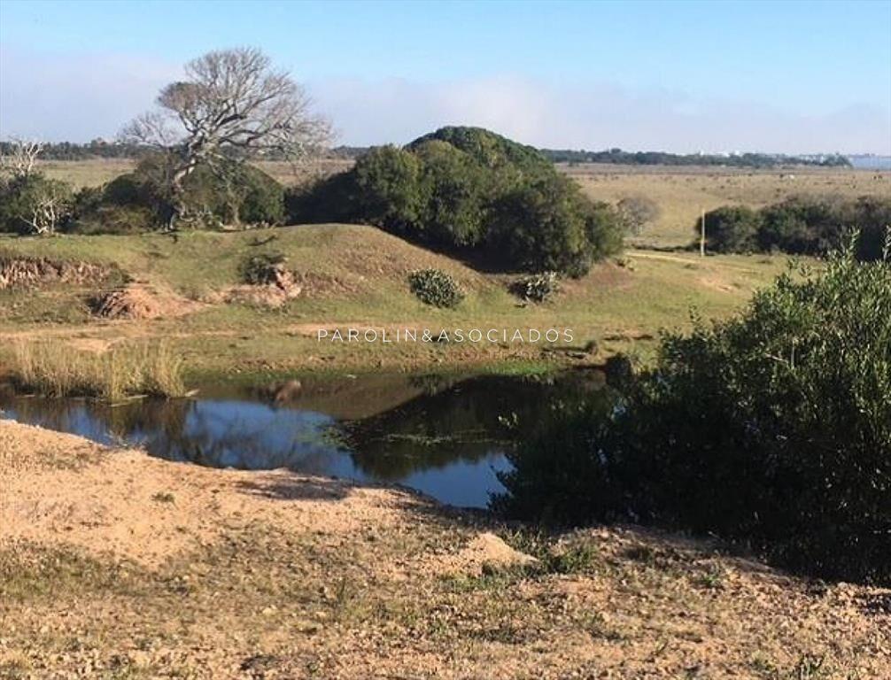 Hermosa chacra en venta en José Ignacio, Punta