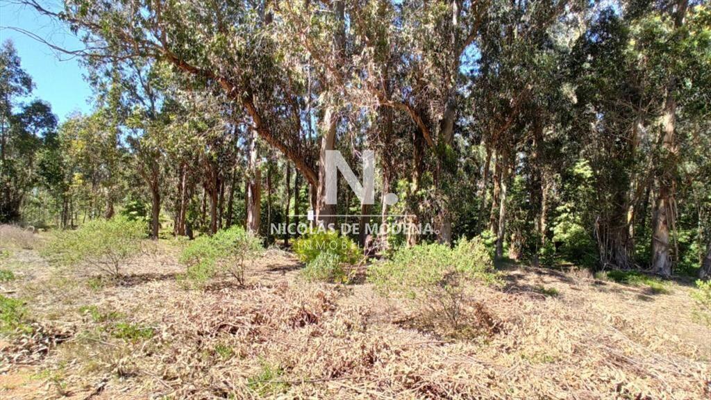 Terreno en Parque Burnett - Maldonado. Ref. 4285