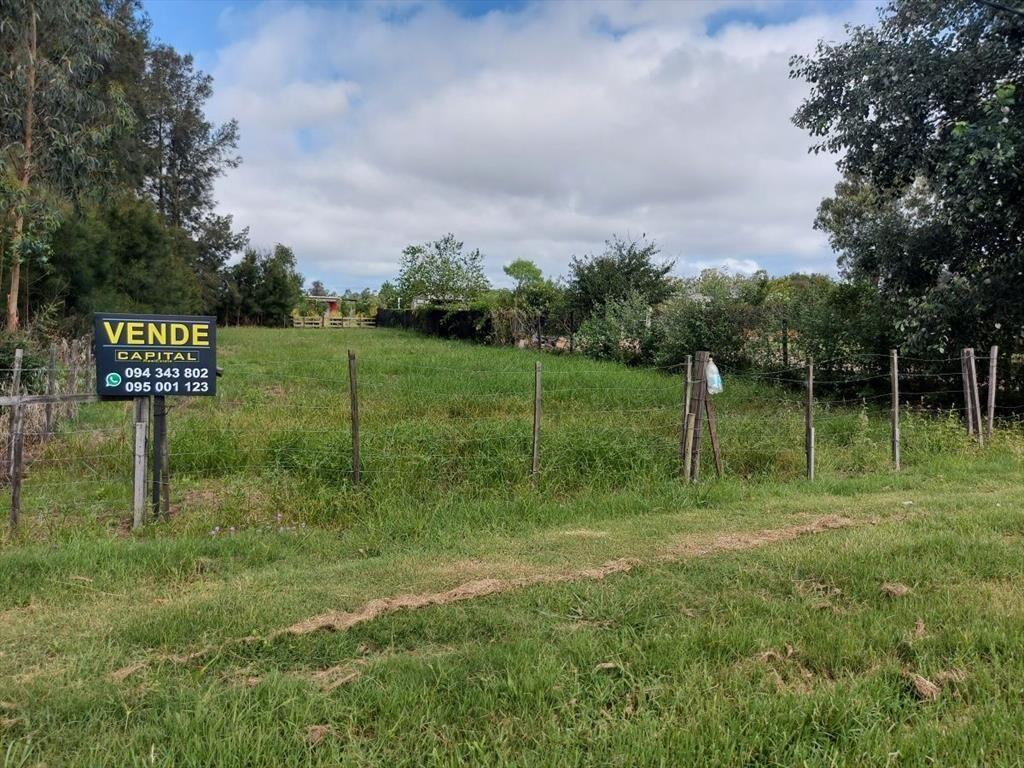 Terreno en venta en camino Cerro Eguzquiza