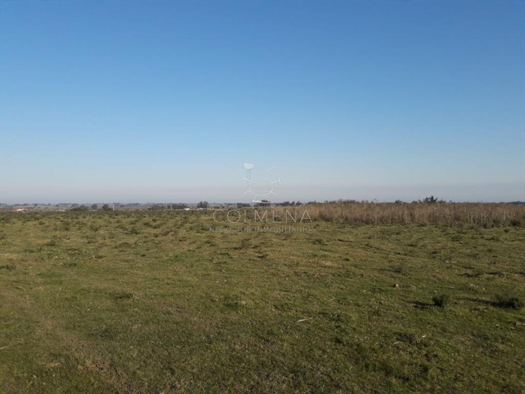 Campo de 66 has con 1991 m2 - En Corte la Leña -