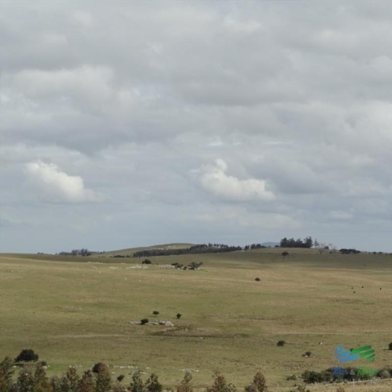 BAJO DE PRECIO...Campo sobre R.12 y a menos de 1