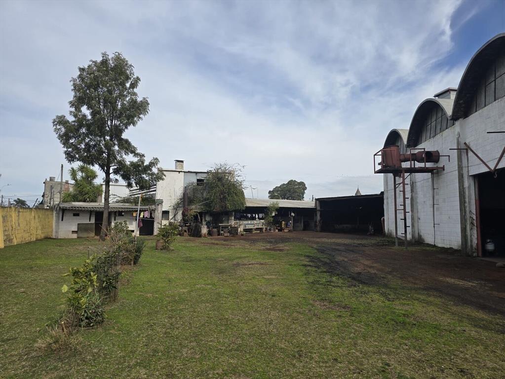 Gran Predio Industrial en Belvedere – 2.041 m² de terreno |