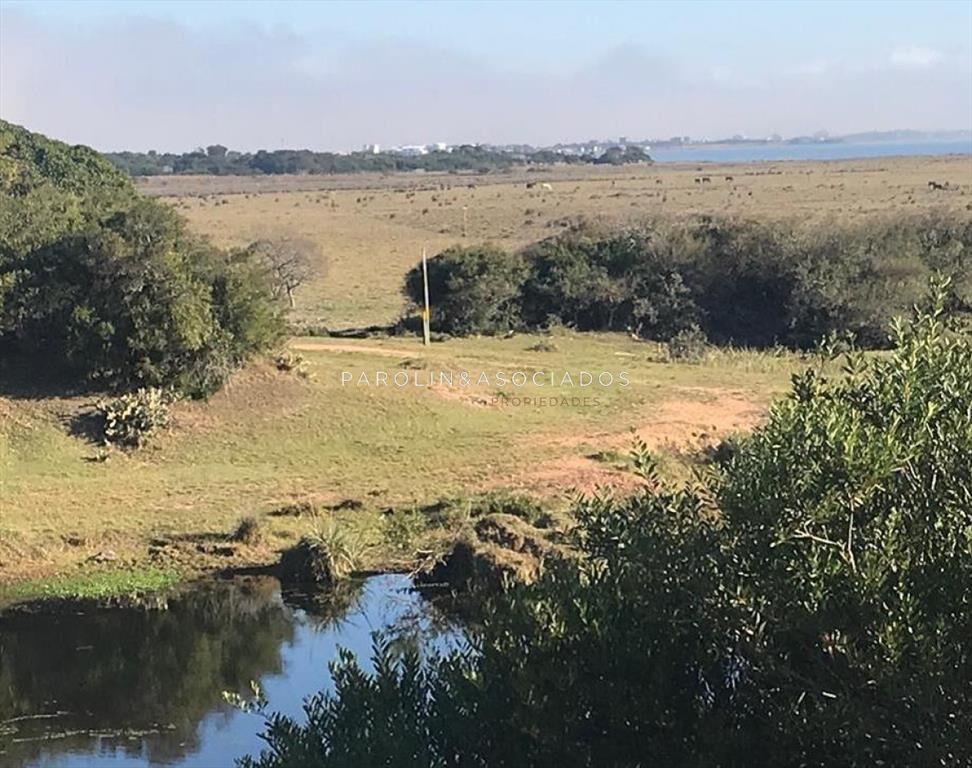 Hermosa chacra en venta en José Ignacio, Punta