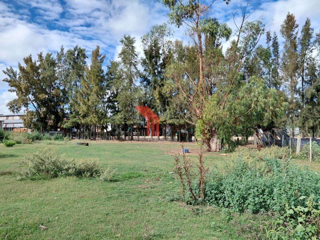 Venta casa y local y terreno,Mendoza Chico,