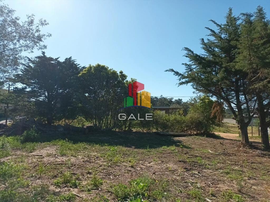 Terreno muy bien ubicado en Piedras del Chileno