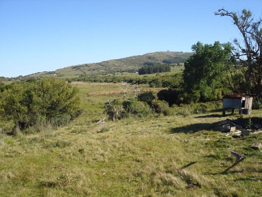 Campo 98 has con 2891 m2 en Carape cuenta con de