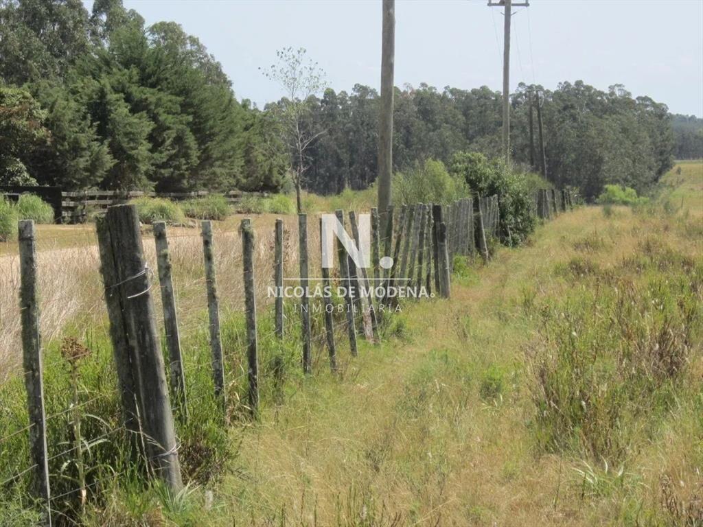 Lote en venta en Cerro Eguzquiza, Ideal para e