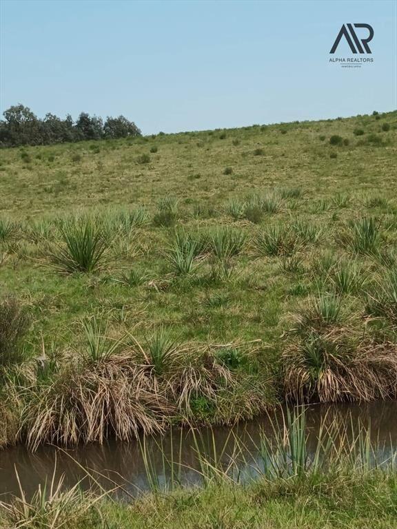 Chacra en venta de 10ha ubicado en San Carlos