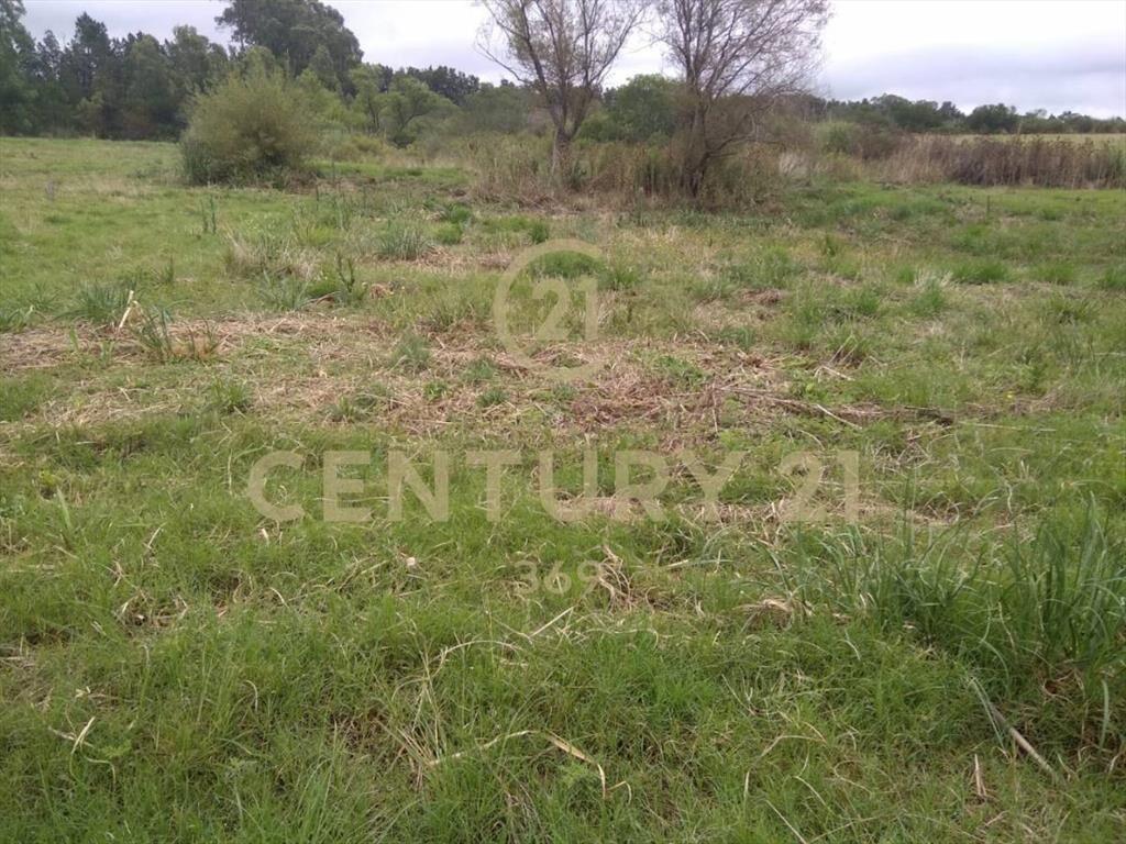 INVERSION VENTA CAMPO 3 HECTÁREAS con galpón-próx Interba...