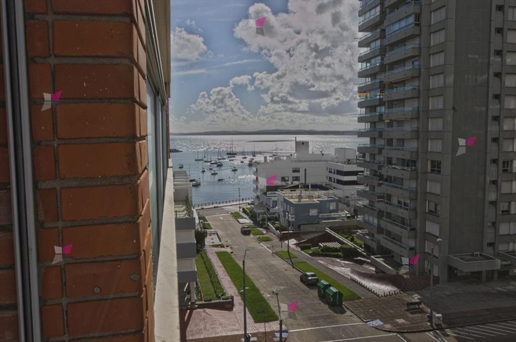 Apartamento 1 dormitorio en alquiler anual