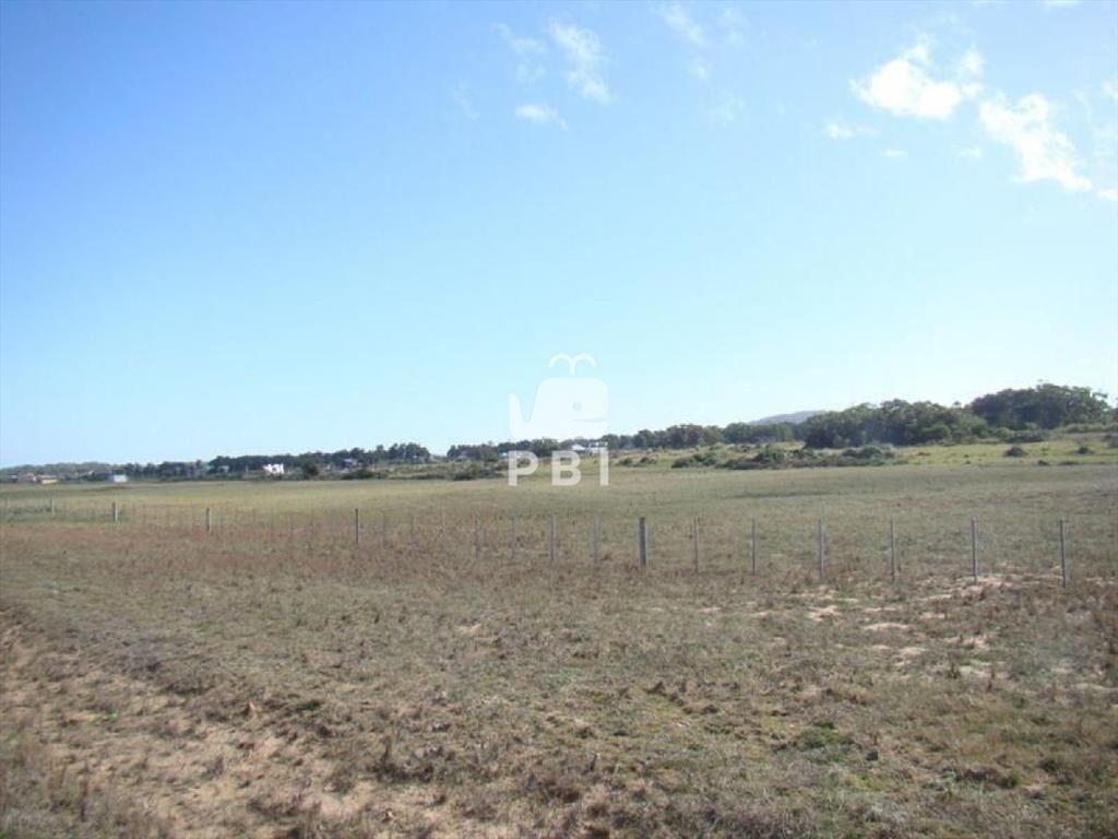 Chacra en venta Punta Negra  - Ref : PBI589