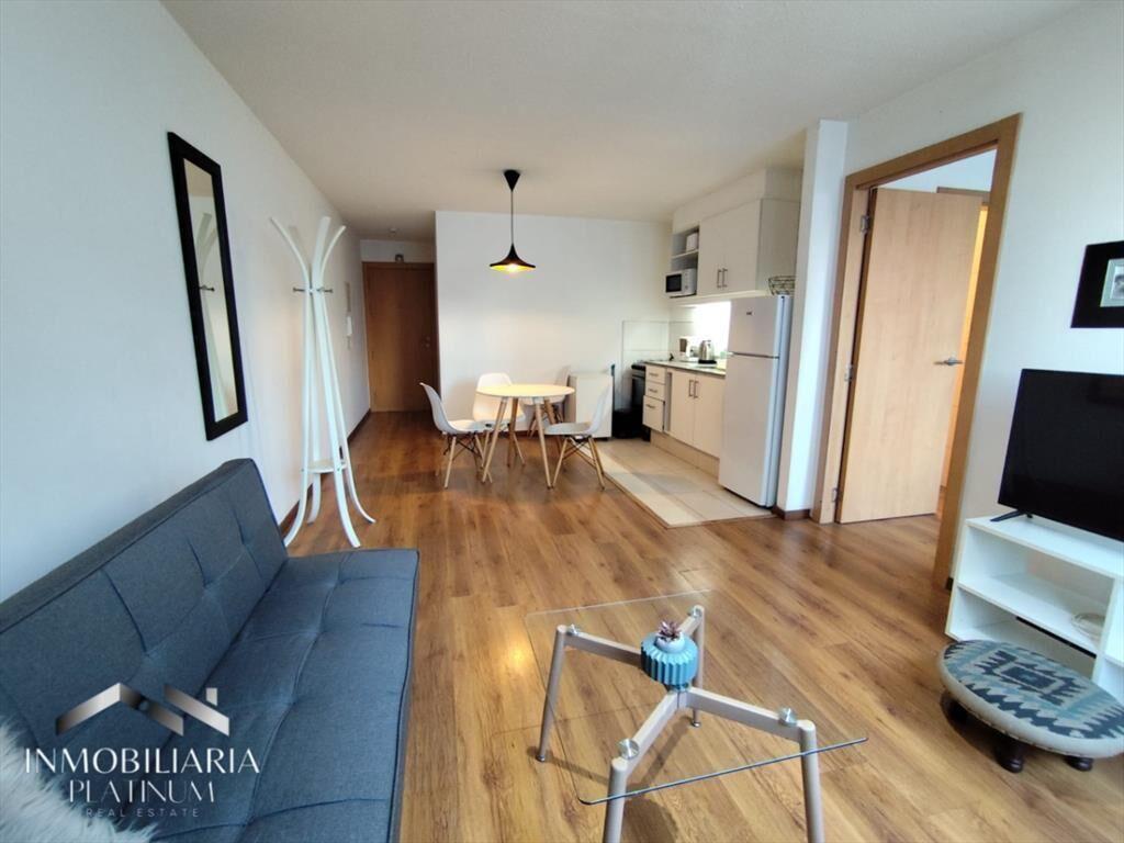 Alquilo apartamento completamente amoblado, Cordón Sur