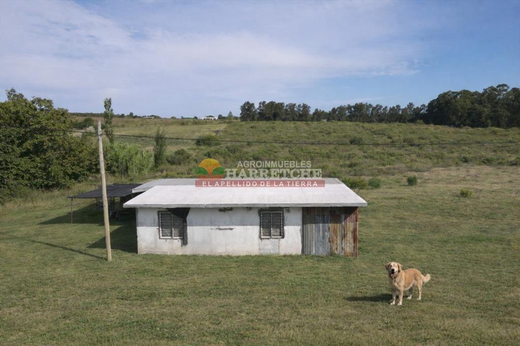 Chacra en Los Cerrillos, 4 has, monoambiente,