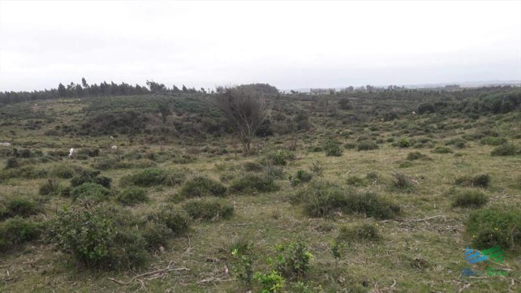 Campo en venta