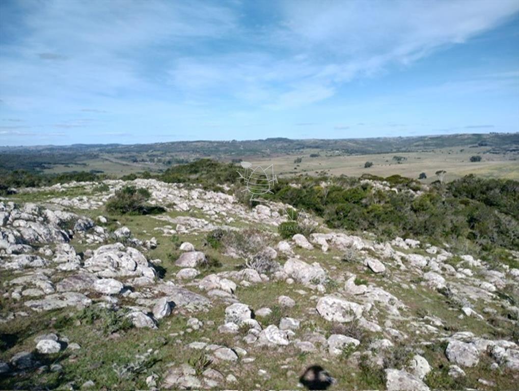 Campo en Lavalleja - 79 has con 8432 m2 -