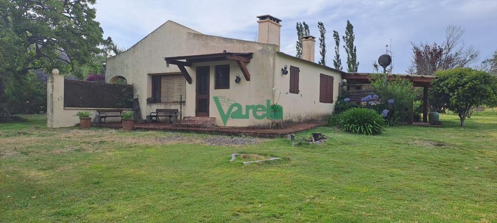 Chacra 12 has. próxima a Gregorio Aznárez en