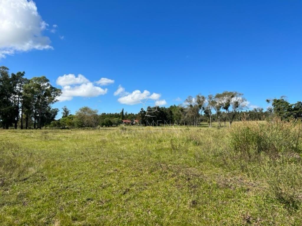 Campo 5 has con 2473 m2 sobre ruta 9