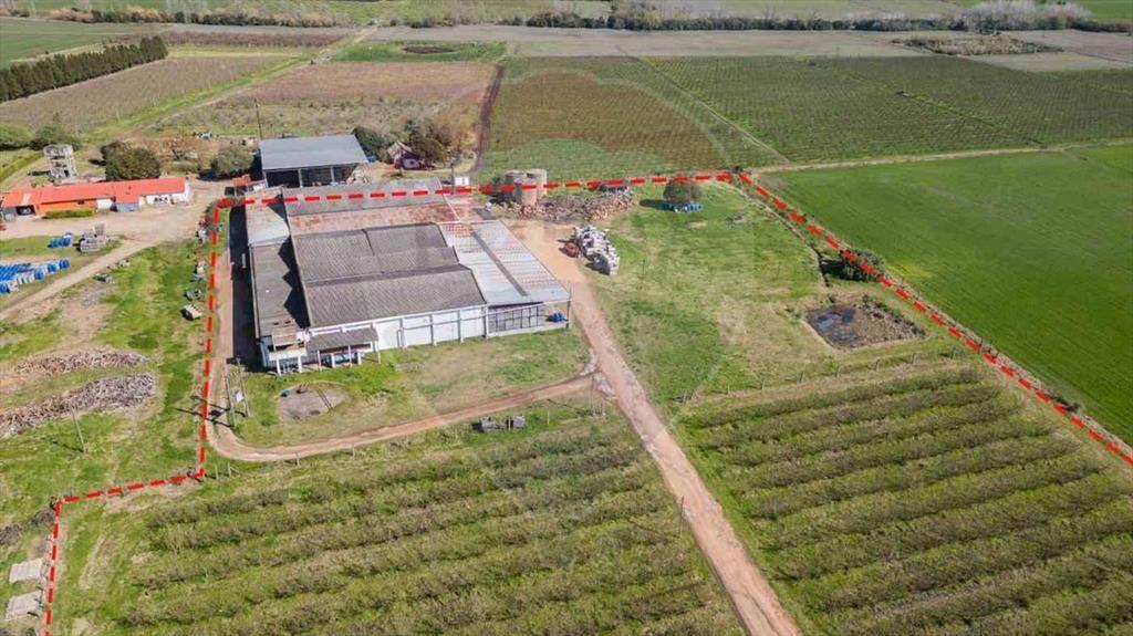 VENTA NAVE LOGÍSTICA SOBRE RUTA 5 CANELONES