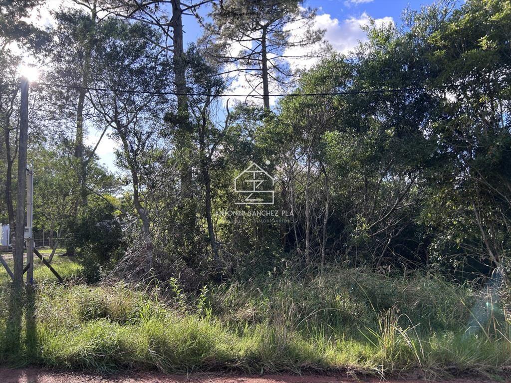 Venta terreno en Ocean Park