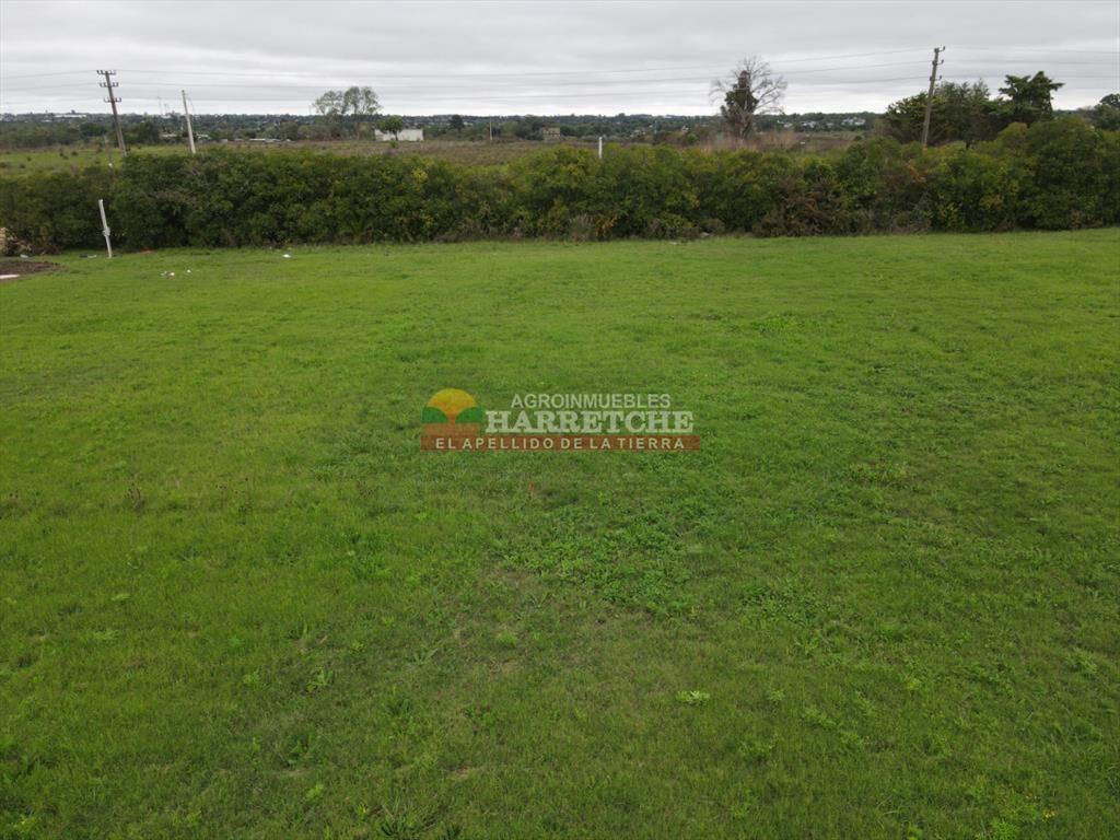 Terreno en Progreso, 360 m2 en Jardín de los Ingleses (7)