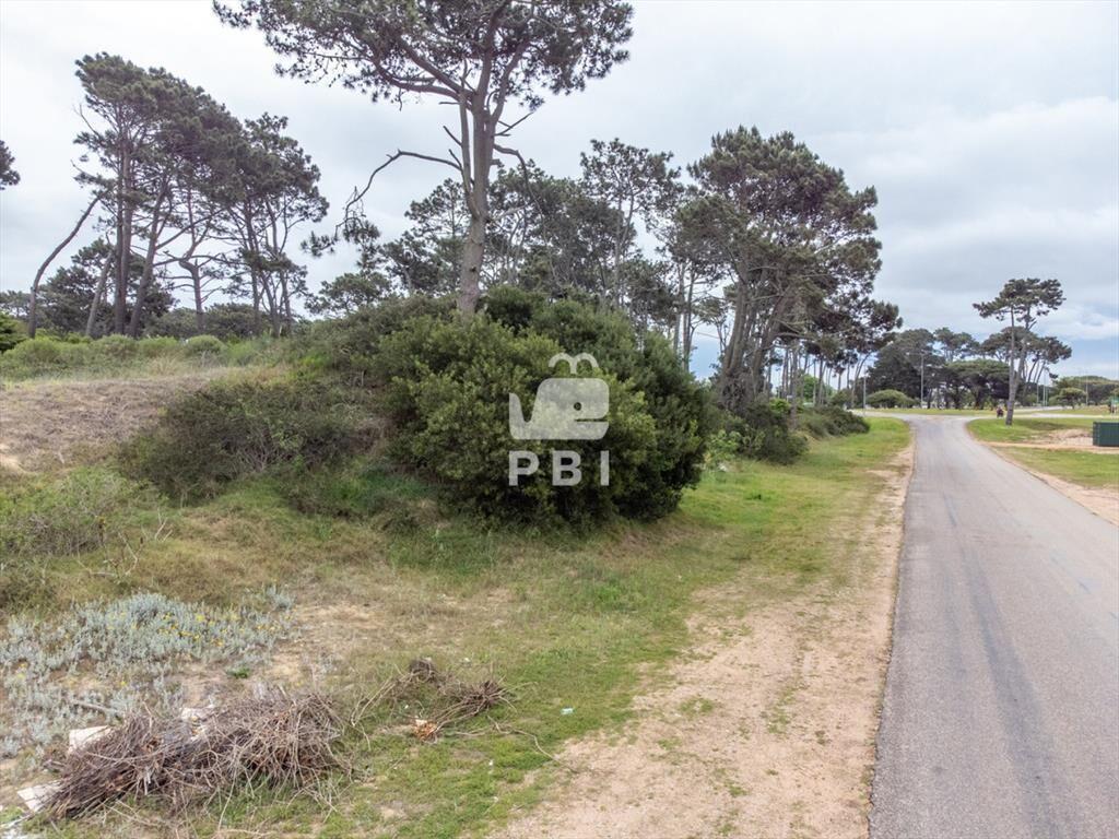 Lote en venta en El Placer, Punta del Este - Ref