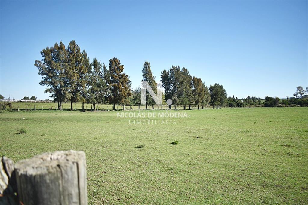 CHACRA SAN CARLOS RUTA 9