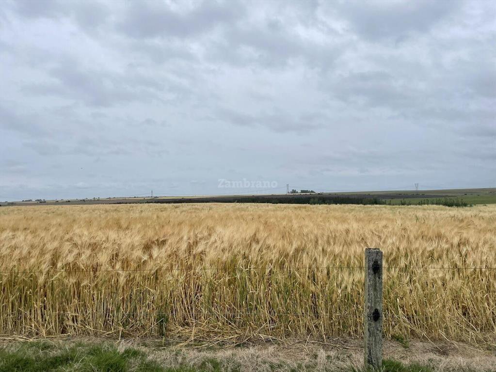 Estancia Agrícola Ganadera en Flores