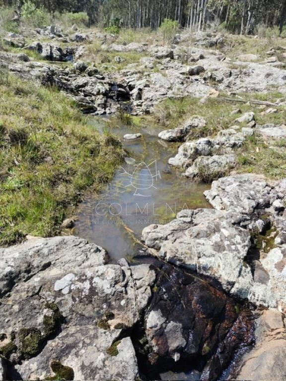 Campo 5 has en Partido Norte a 38 km de Punta del
