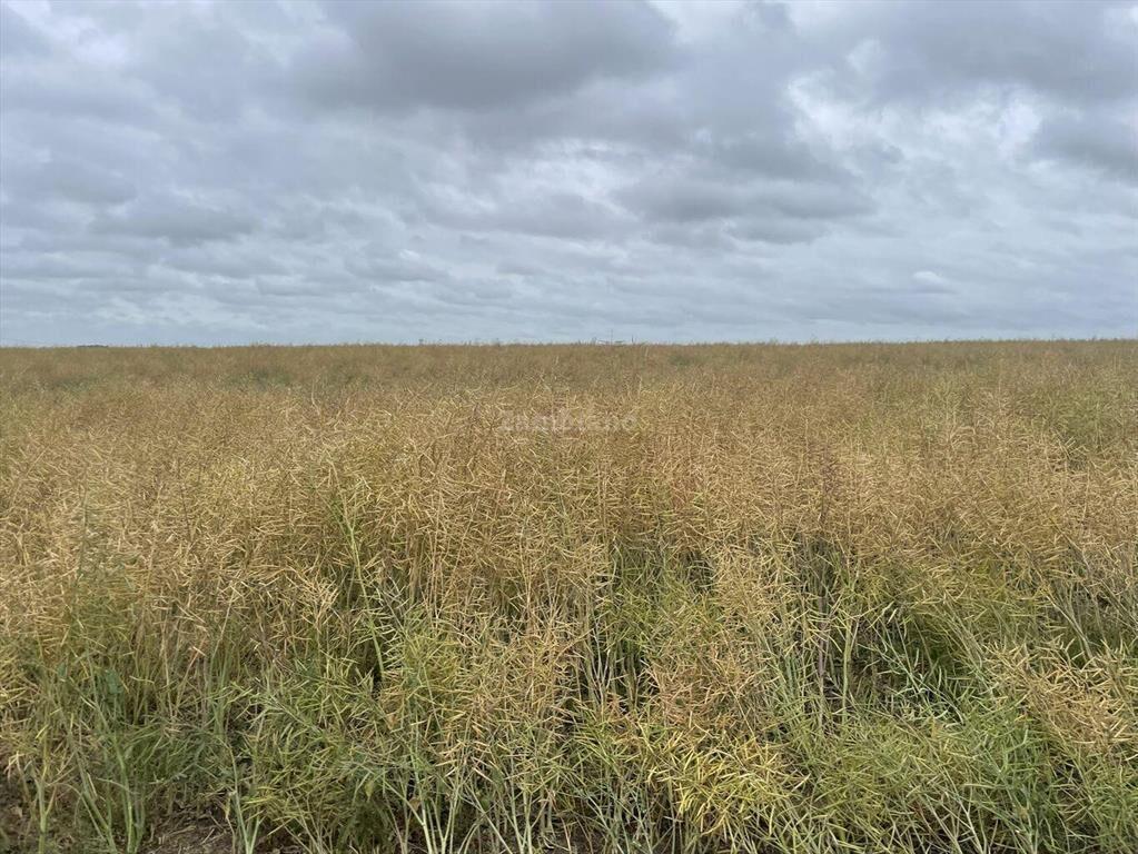 Estancia Agrícola Ganadera en Flores