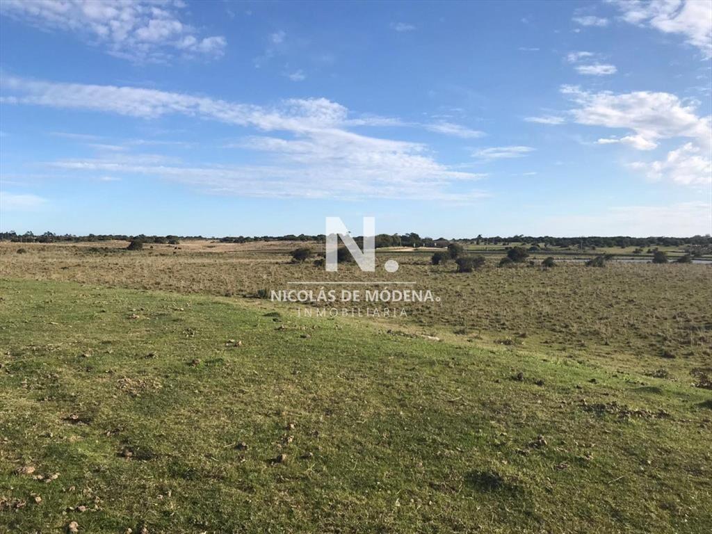 Campo en José Ignacio