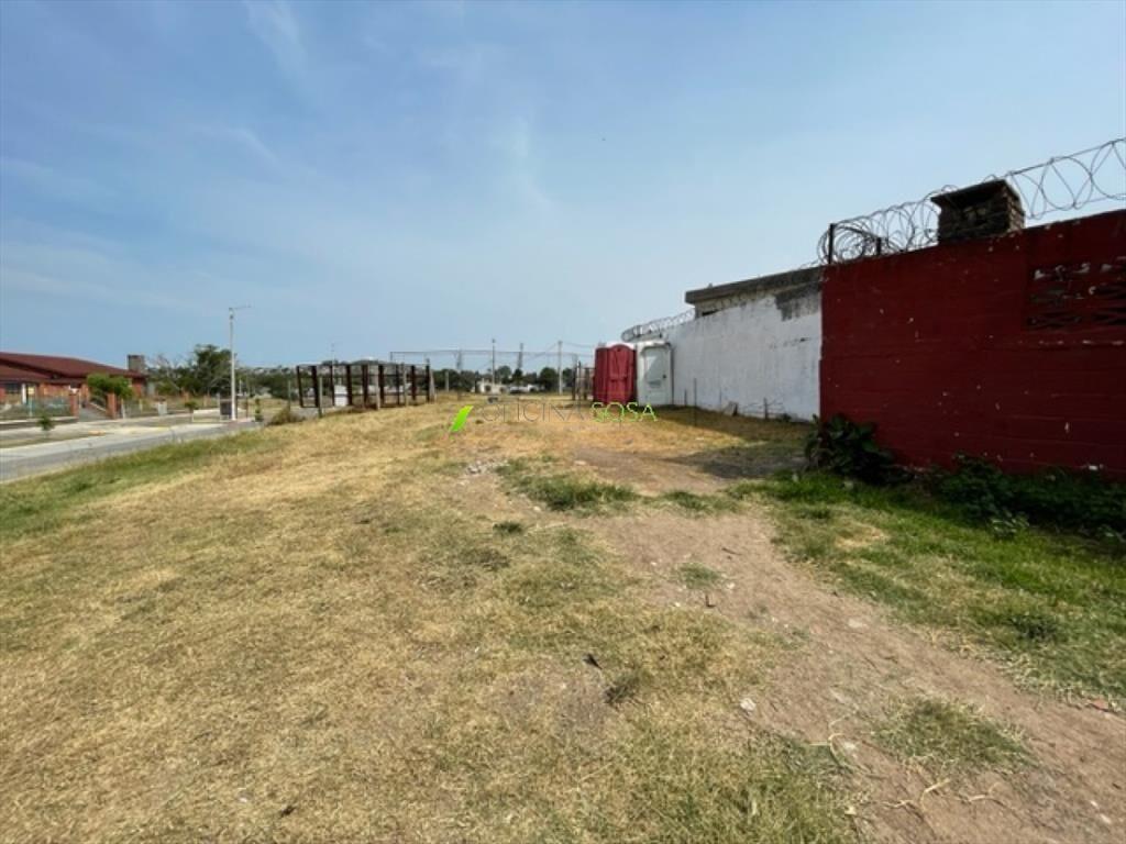 TERRENO DE 981 METROS SOBRE AVENIDA CIBILS PROX A CARLOS M