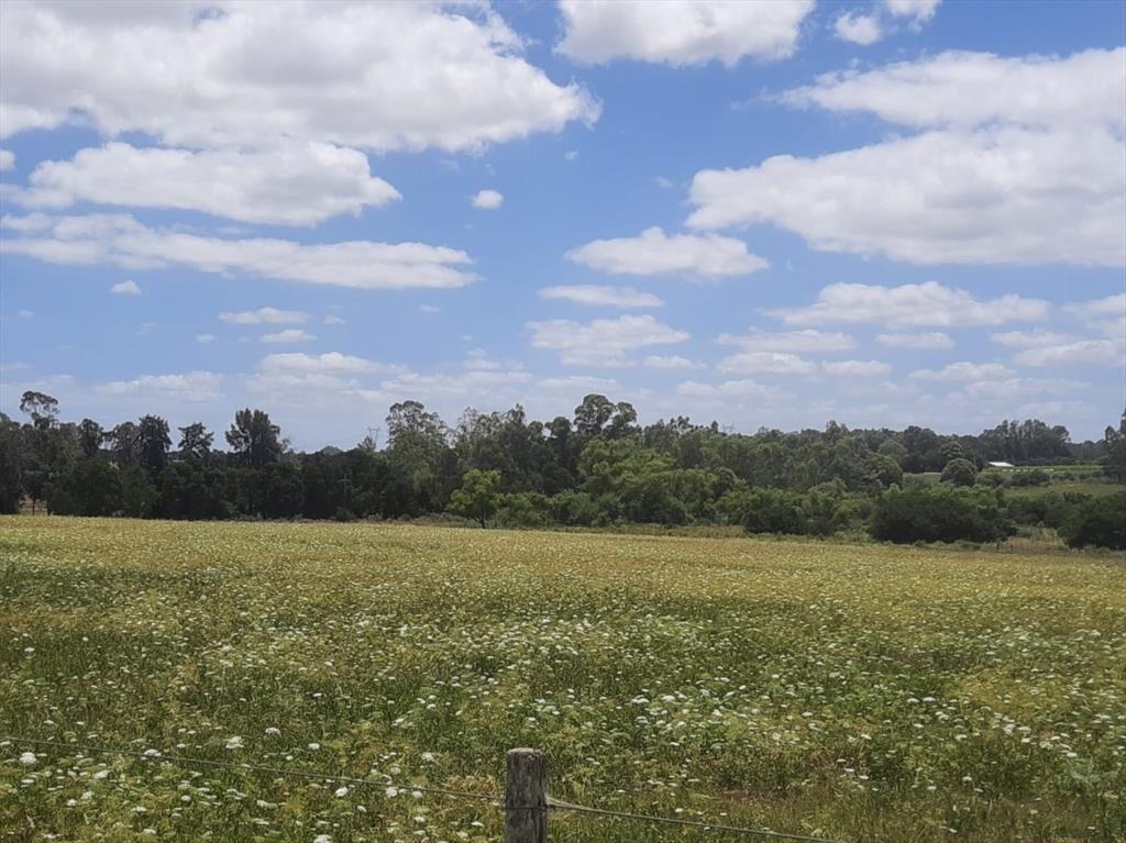 Buen predio rural, 24 héctareas a 600 m Ruta 5, KM 50.