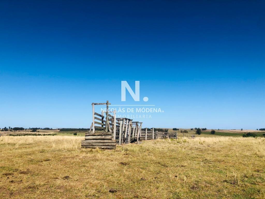 Campo en Jose Ignacio,