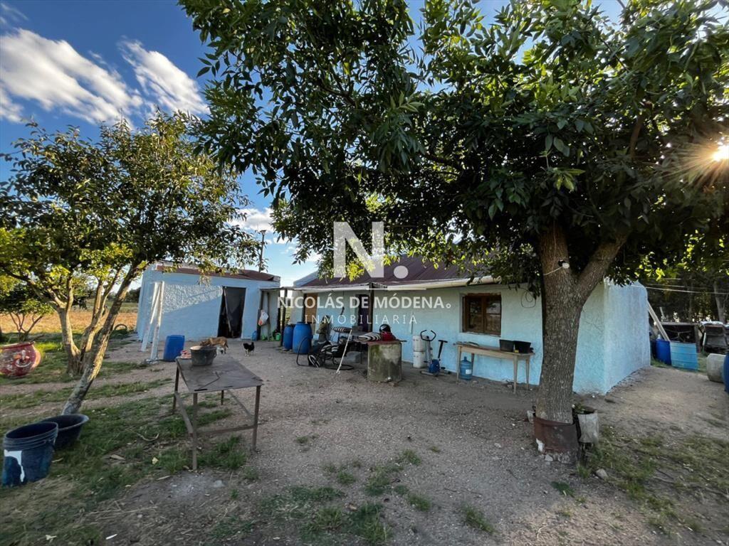 Campo de 10.5 Ha bien logistico en florida