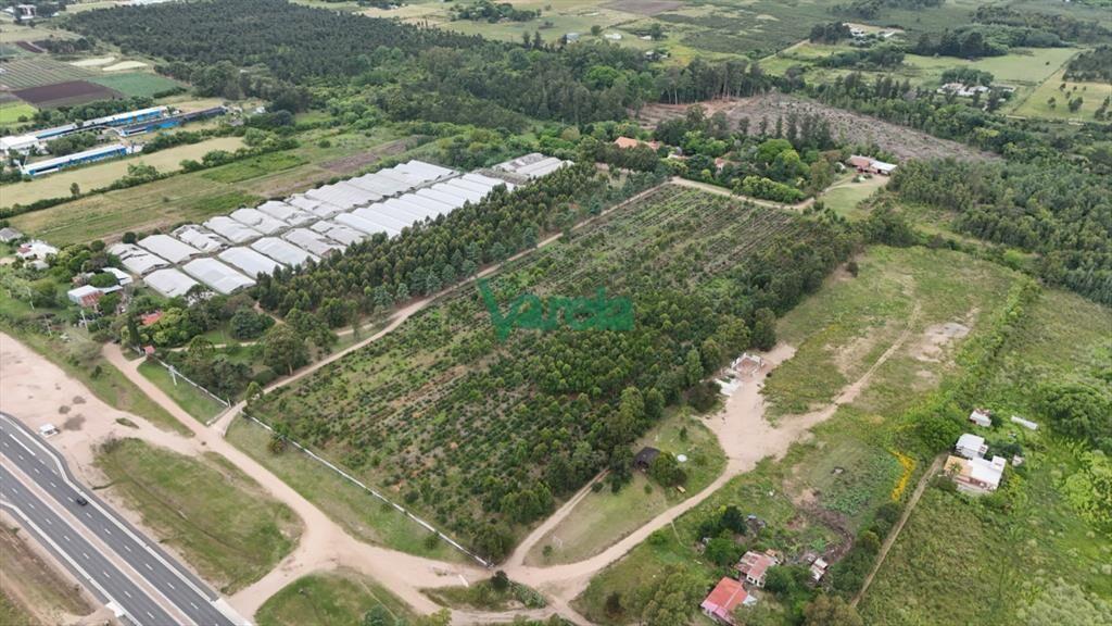 Venta Chacras 100% financiadas en Toledo