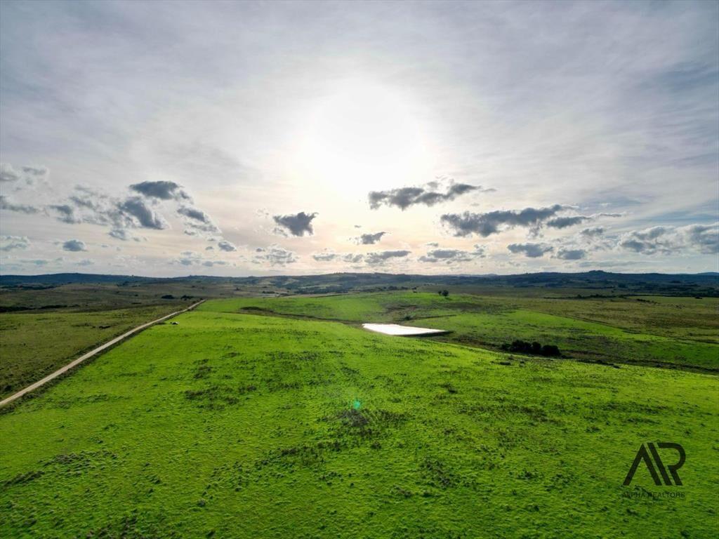 Chacras de 3ha/60 ha en Garzón, con caminería y luz en l...