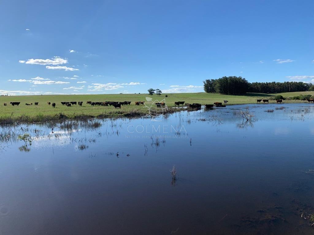 Campo excelente ubicacción, ideal plantar o