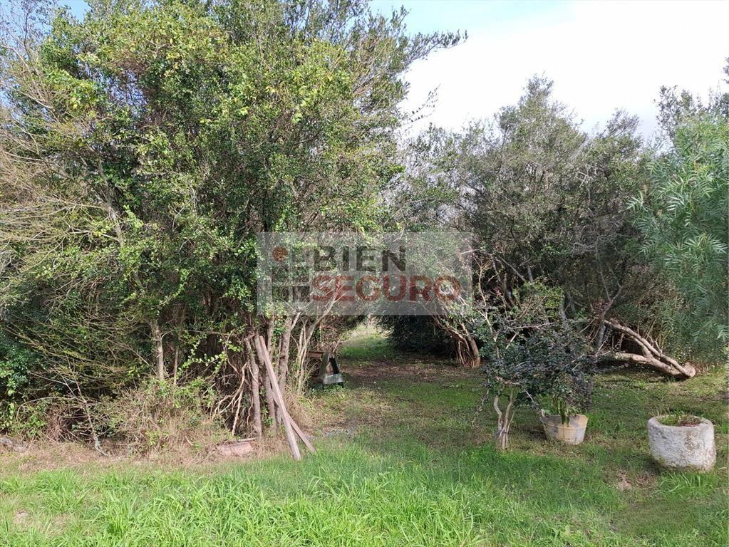 Chacra de 1.200 m², con sólida casa, en venta en Las Brujas